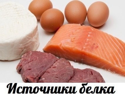 Источники белка:
Забирайте на стену, чтобы не потерять.

Телятина отварная...