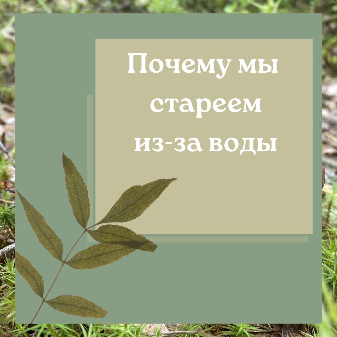 Человек не протянет без воды больше 4 дней. Однако именно вода - одна из...