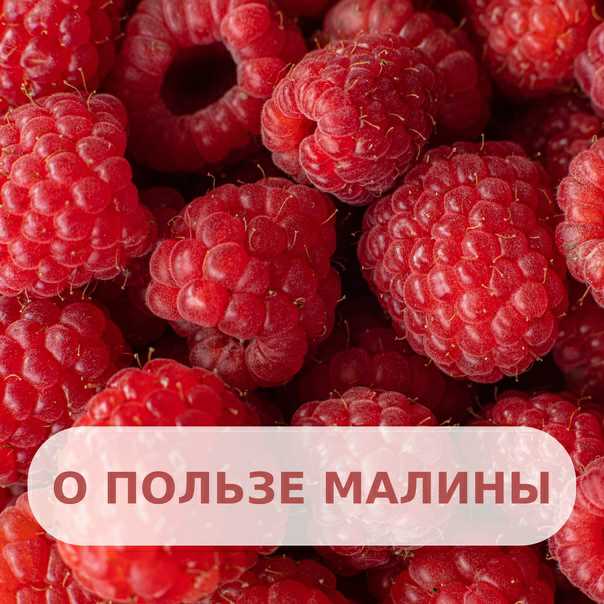 ​​Малинки не хотите? 
 
Июль ― идеальное время для того, чтобы включить в свой...