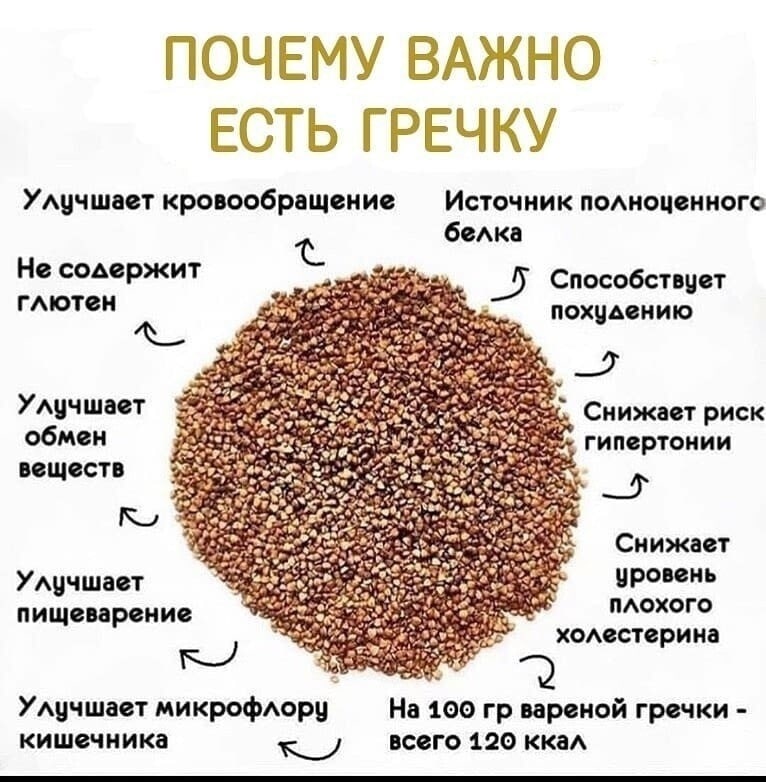 Почему важно есть гречку?