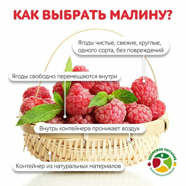 ​​​Ягода-малина летом в гости звала  
 
Эту вкусную ягоду рады видеть на каждом...